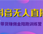 抖音无人直播带货赚佣金陪跑训练营(价值6980元)-最全资源库