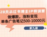 28天小红书博主IP特训营《第9期》做爆款，涨粉变现 单条广告笔记500-10000-最全资源库
