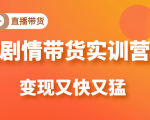 《剧情带货实训营》目前最好的直播带货方式,变起现来是又快又猛(价值980元)-最全资源库