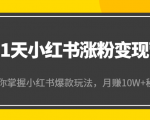 21天小红书涨粉变现营(第4期):带你掌握小红书爆款玩法,月赚10W+秘密-最全资源库