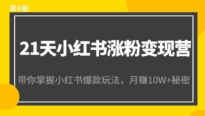 21天小红书涨粉变现营(第4期):带你掌握小红书爆款玩法,月赚10W+秘密-最全资源库