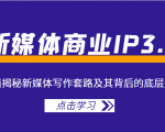 新媒体商业IP3.0,全面揭秘新媒体写作套路及其背后的底层逻辑(价值1299元)-最全资源库
