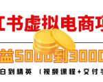 小红书虚拟电商项目：从小白到精英 月收益5000到30000 (视频课程+交付手册)-最全资源库