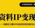 资料IP变现,能稳定日赚3000起的持续性盈利玩法-最全资源库