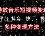 黄岛主《粒子特效音乐短视频变现项目》主攻平台抖音、快手、视频号多种变现方法-最全资源库