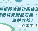 短视频油管动画快速制作涨粉快变现能力高（0基础进阶大神）-最全资源库