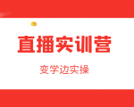 直播实训营,变学边实操,成为运营型主播,拉动直播间人气-最全资源库