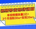 21天视频号变现特训营:单视频播放量2亿+3个月涨粉30w+变现20w+(第14期)-最全资源库
