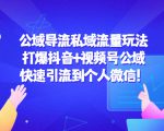 公域导流私域流量玩法：打爆抖音+视频号公域，快速引流到个人微信！-最全资源库