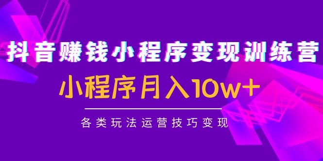 抖音赚钱小程序变现训练营:小程序月入10w+各类玩法运营技巧变现-最全资源库