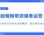 2023短视频带货爆单运营，从账号定位到学会选预爆品，到代理完成出单（价值1250元）-最全资源库