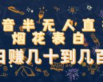 抖音半无人直播烟花表白,日赚几十到几百(教程+视频模板素材)-最全资源库