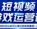 短视频游戏赚钱特训营，0门槛小白也可以操作，日入1000+-最全资源库