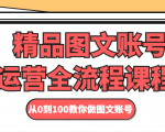 精品图文账号运营全流程课程 从0到100教你做图文账号-最全资源库