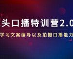 镜头口播特训营2.0版，学习文案编导以及拍摄口播能力（50节课时）-最全资源库