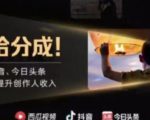 2022年最新中视频变现最稳最长期的项目，一个账号月入几万很简单-最全资源库