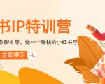 小红书IP特训营:从搭建-制作-爆款脚本等等,做一个赚钱的小红书号-最全资源库
