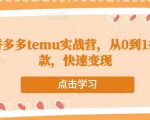 跨境拼多多temu实战营，从0到1打造爆款，快速变现-最全资源库