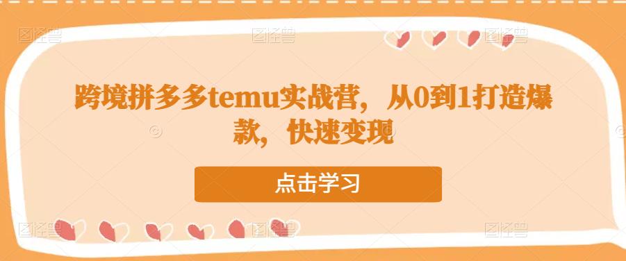 跨境拼多多temu实战营,从0到1打造爆款,快速变现-最全资源库