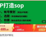 瑶瑶·自然流IP孵化,系统掌握IP孵化全流程,也能学到选题,剪辑,账号运营经验-最全资源库