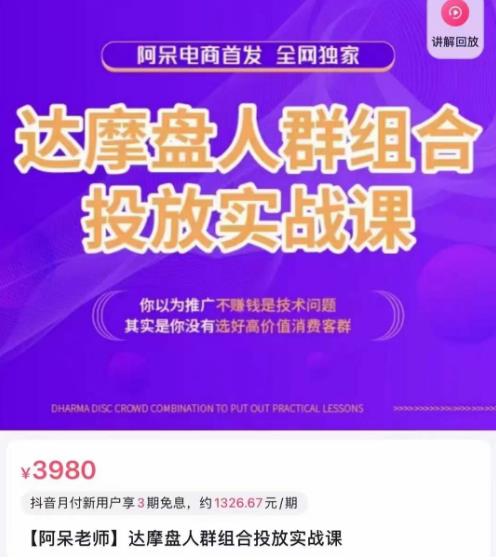 阿呆电商·达摩盘人群组合投放实战课,你以为推广不赚钱是技术问题,其实是你没有选好高价值消费客群-最全资源库