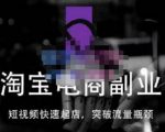蓝Sir派·淘宝短视频快速起店,替代传统搜索方式,学会做一个不一样的淘宝店-最全资源库