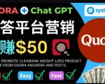 免费推广Clickbank热销商品,每单25.07美元,日赚50美元以上-最全资源库