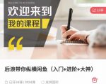 后浪带你纵横闲鱼(入门+进阶+大神),闲鱼最新玩法,简单粗暴-最全资源库