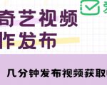爱奇艺号视频发布,每天只需花几分钟即可发布视频,简单操作收入过万【教程+涨粉攻略】-最全资源库