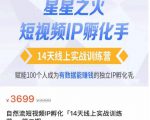 瑶瑶·自然流短视频IP孵化第二期,14天线上实战训练营,赋能100个人成为有数据能赚钱的独立IP孵化手-最全资源库