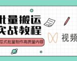 视频号批量搬运实战操作运营赚钱教程，傻瓜式批量制作高质量内容【附视频教程+PPT】-最全资源库