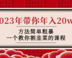 韭菜-联盟·2023年带你年入20w+方法简单粗暴，一个教你割韭菜的课程-最全资源库