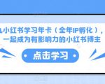厦九九小红书学习年卡(全年IP孵化),沉浸式学习,一起成为有影响力的小红书博主-最全资源库