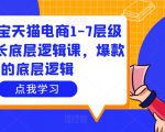 大圣淘宝天猫电商1-7层级盈利增长底层逻辑课，爆款的底层逻辑-最全资源库