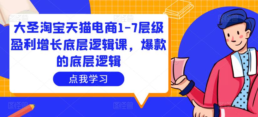 大圣淘宝天猫电商1-7层级盈利增长底层逻辑课,爆款的底层逻辑-最全资源库