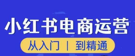顽石小红书电商高阶运营课程，从入门到精通，玩法流程持续更新-最全资源库