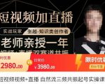 张越·短视频+直播，自然流三频共振起号实操课，​短视频所有流量玩法讲解-最全资源库