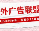 外面收费1980的最新国外LEAD广告联盟搬砖项目，单号一天至少30美金【详细玩法教程】-最全资源库