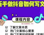 新手做抖音如何写文案，手把手实操如何拆解热门文案-最全资源库