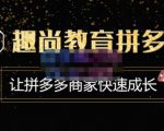 趣尚教育·拼多多运营实操VIP特训营，让拼多多商家快速成长-价值3180元-最全资源库