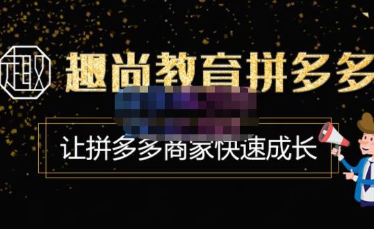 趣尚教育·拼多多运营实操VIP特训营,让拼多多商家快速成长-价值3180元-最全资源库