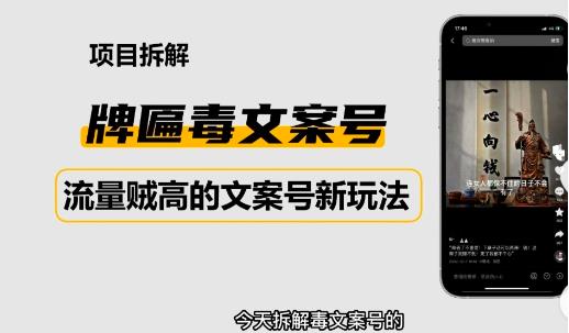 2023抖音快手毒文案新玩法，牌匾文案号，起号快易变现-最全资源库