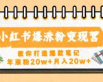 小红书爆涨粉变现营，教你打造爆款笔记，年涨粉20w+月入20w-最全资源库