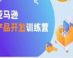 亚马逊产品开发训练营，能爆单的产品开发方法，助你突出重围-最全资源库