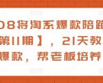 108将淘系爆款陪跑营【第11期】，21天教运营打爆款，帮老板培养运营-最全资源库