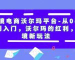 跨境电商沃尔玛平台-从0基础到入门，沃尔玛的红利，跨境新玩法-最全资源库