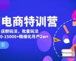 美团电商特训营：美团·店群玩法，无脑铺货月产出6000-15000+精细化月产2w+-最全资源库