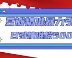 豆瓣精准暴力引流，日引精准粉500+【12课时】-最全资源库