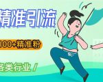 soul精准引流系列课程，一天引流100+精准粉，适合各类行业-最全资源库