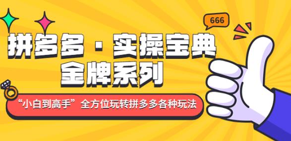 拼多多·实操宝典:金牌系列“小白到高手”带你全方位玩转拼多多各种玩法-最全资源库